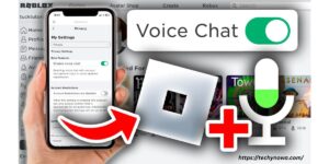 How To Get Voice Chat On Roblox?