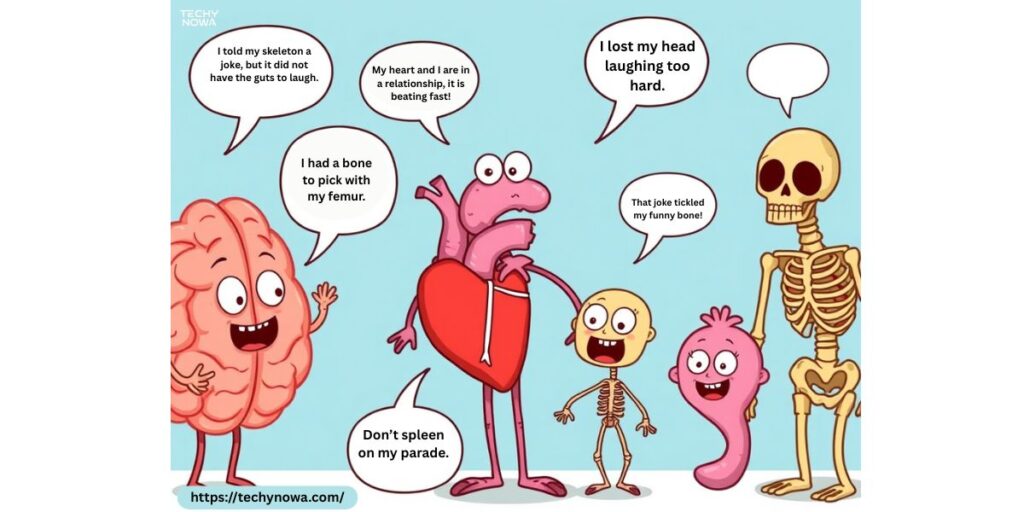 Funny Anatomy One-Liner Jokes – Short & Funny Anatomy Jokes