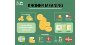 Kroner Meaning: Exploring Currency, Slang And More