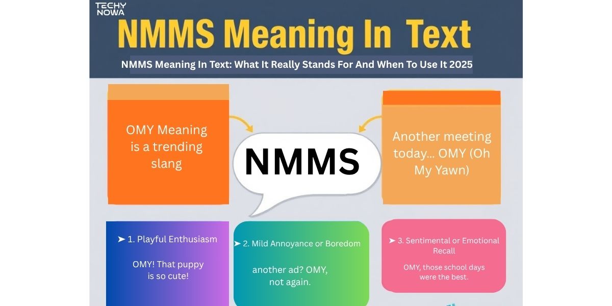 NMMS Meaning In Text: What It Really Stands For And When To Use It 2025