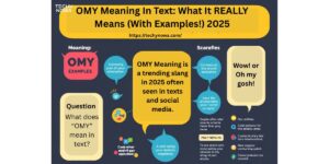 https://techynowa.com/omy-meaning-in-text/