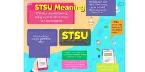 STSU Meaning In Text: What It Stands For And How To Use It Right 2025