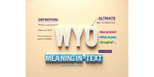 WYO Meaning In Text: Definition, Usage And Best Alternatives For Every Situation