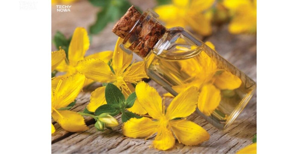 Real-World Applications