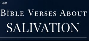 50 Bible Verses About Salvation: Your Complete Guide to God's Gift