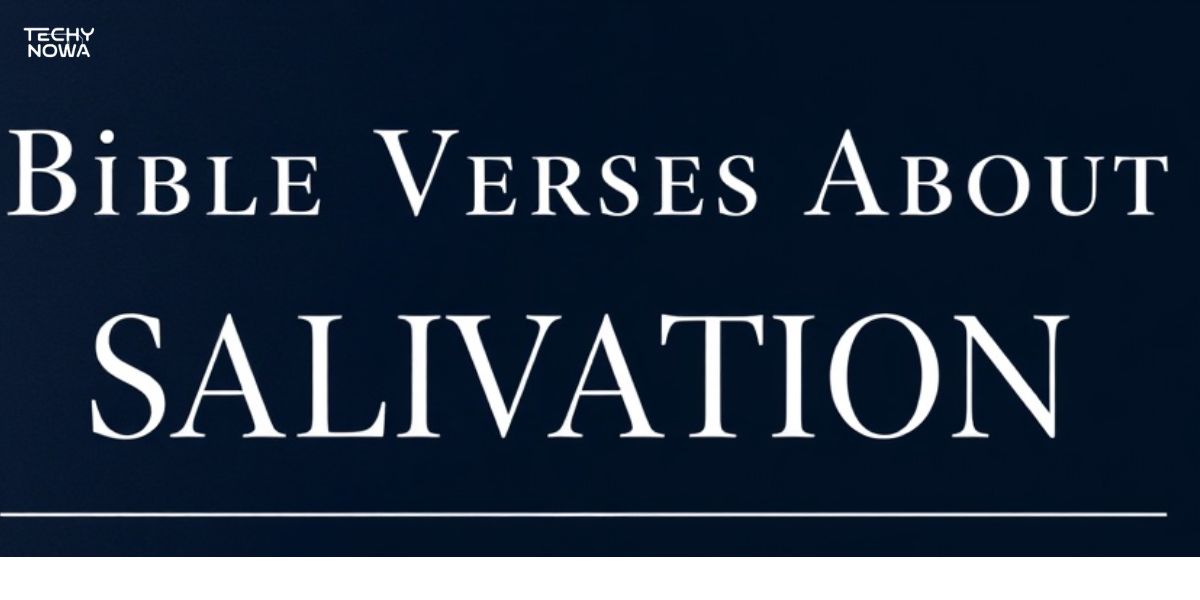 50 Bible Verses About Salvation: Your Complete Guide to God's Gift