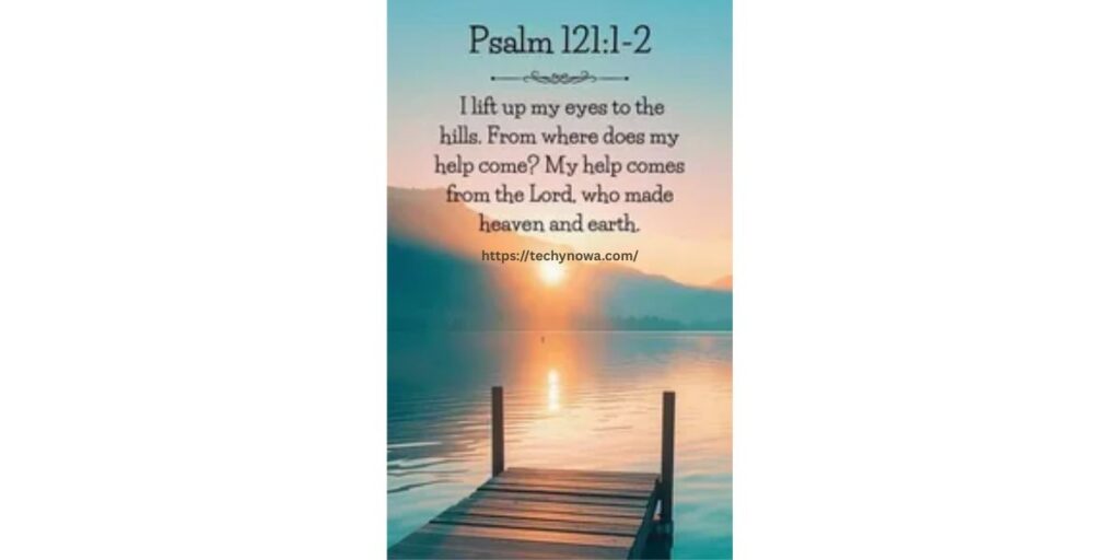 How Do I Add Bible Verses to My Instagram Profile?